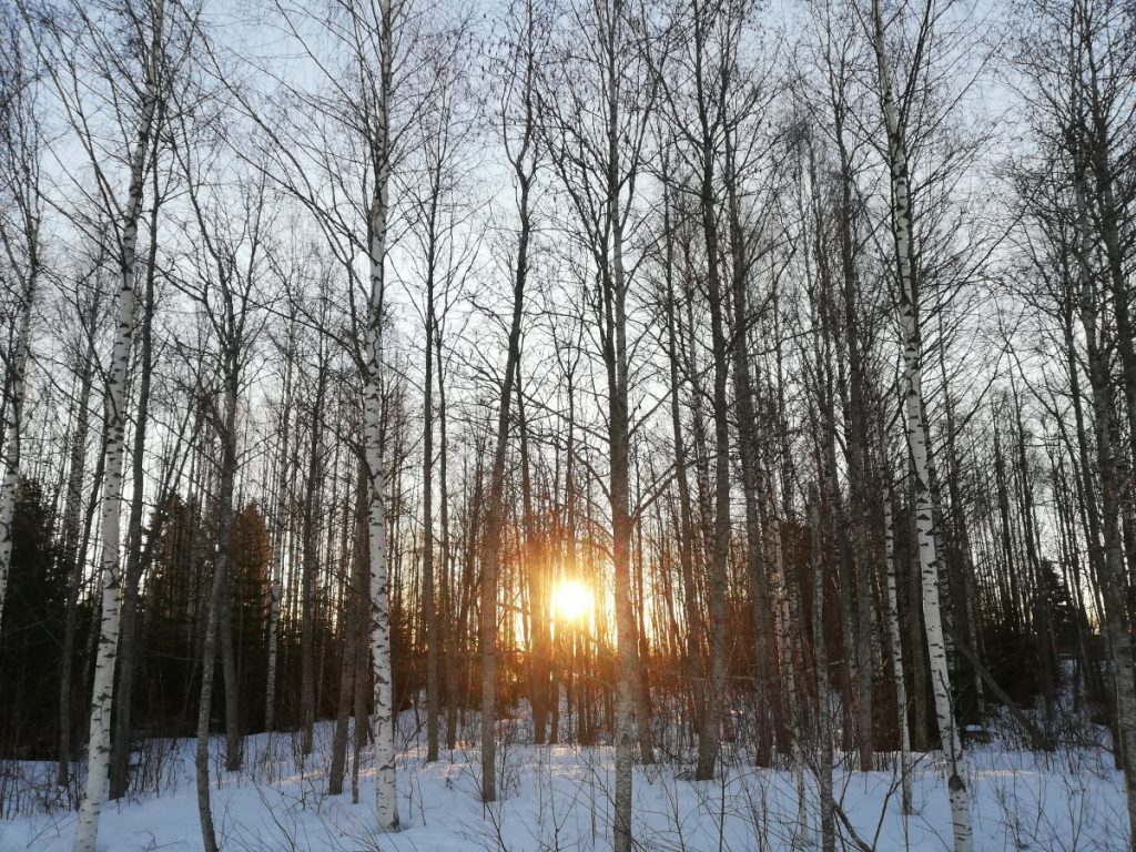 Kevätaamu
